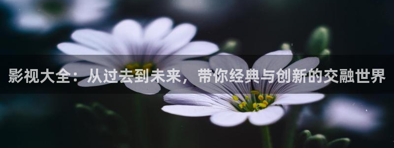 国产精品影院久久久久久久：影视大全：从过去到未来，带你经典与创新的交融世界